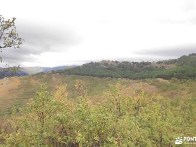 GastroRuta - Loma de Enmedio alrededor del Pico de Bañaderos; excursiones por la sierra de madrid gr